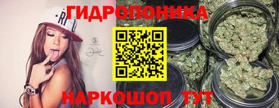 стафф Краснознаменск