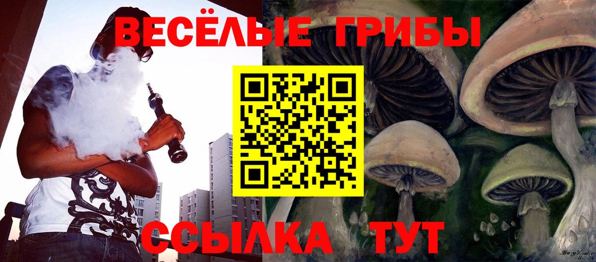 Псилоцибиновые грибы Psilocybe  что такое наркотик  Псилоцибиновые грибы прущие грибы  Феодосия  Вход с VPN 